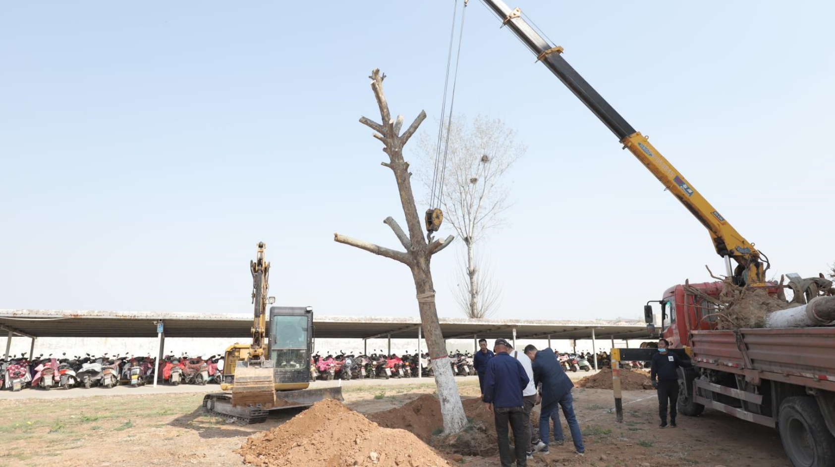 1649296433475849.png 4.png